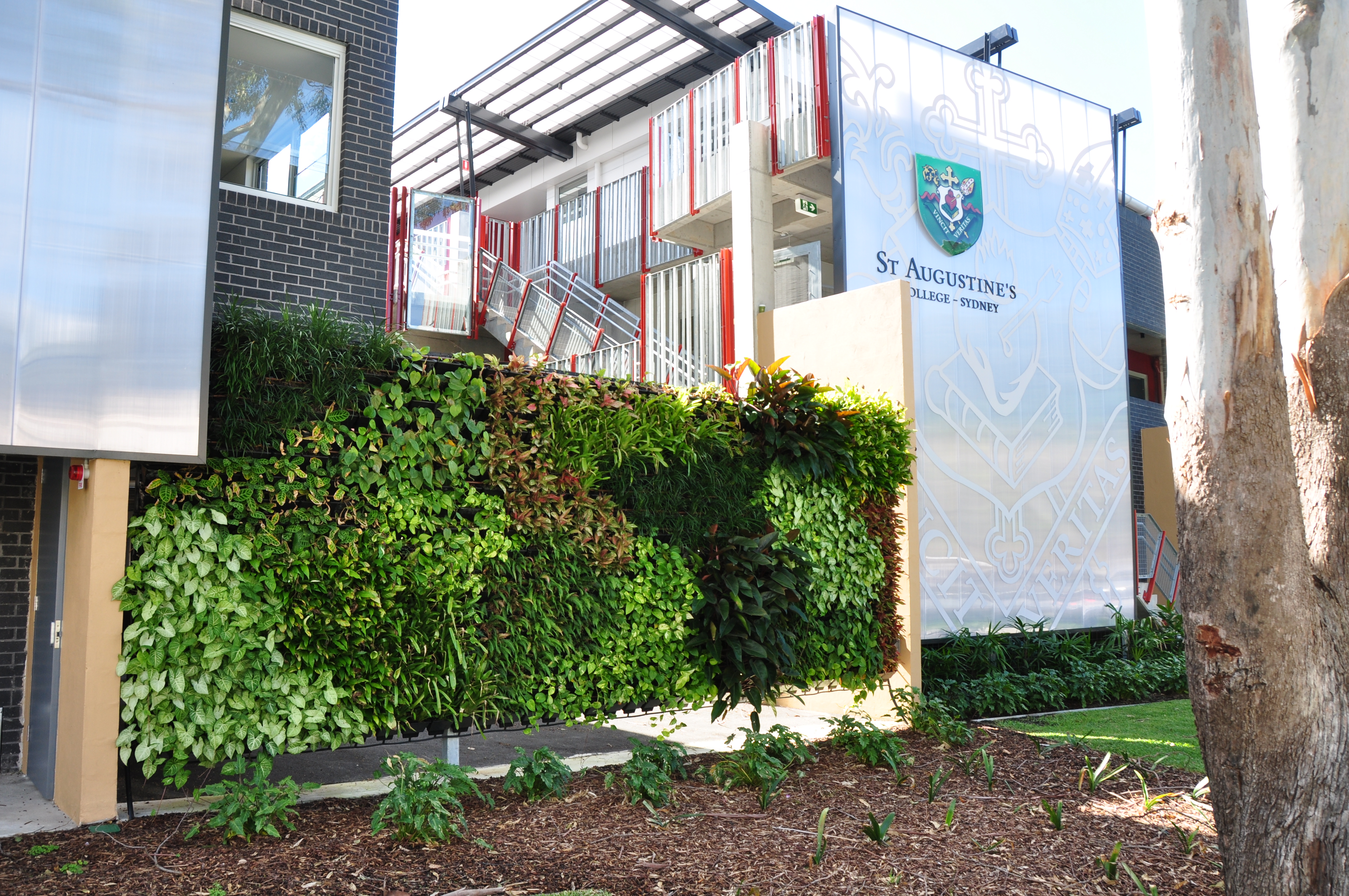 Saint Augustines's College